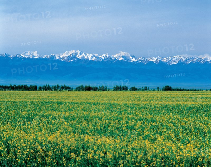 Nature, province du Xinjiang, Chine