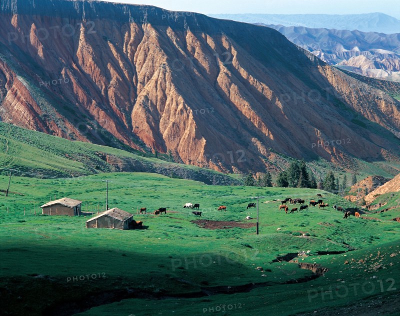 Prairie Nalati, Vallée de Bayin, province du Xinjiang, Chine