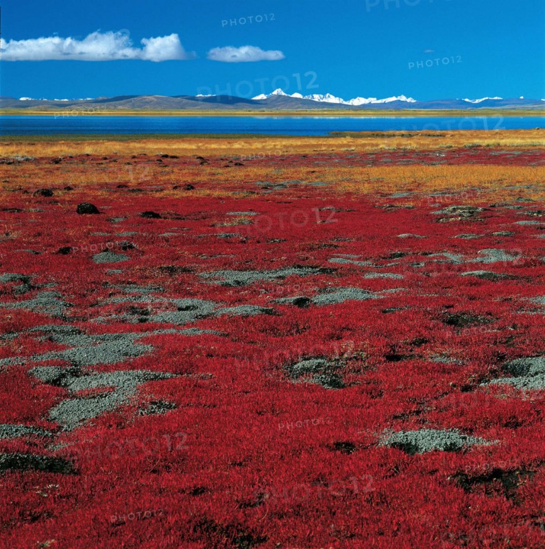 Mapam Yumco Holy Lake, Ngari, Tibet, China