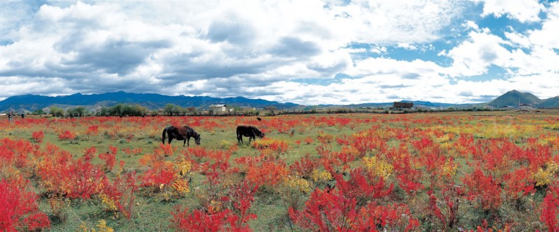 ZhongDian, Shangrila, province du Yunnan, Chine