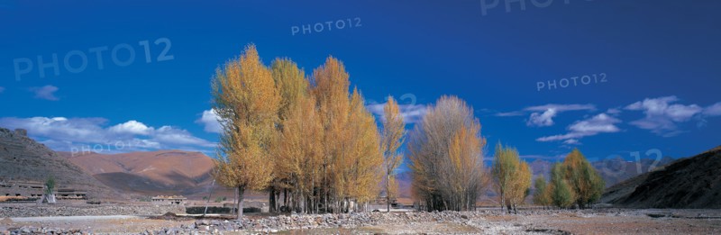 Daocheng, Sichuan Province, Chine