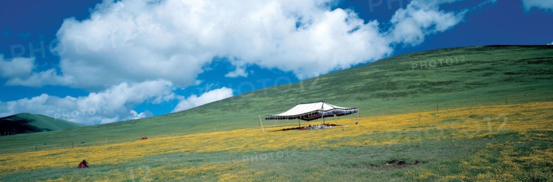 Prairie à GanZi, province du Sichuan, Chine