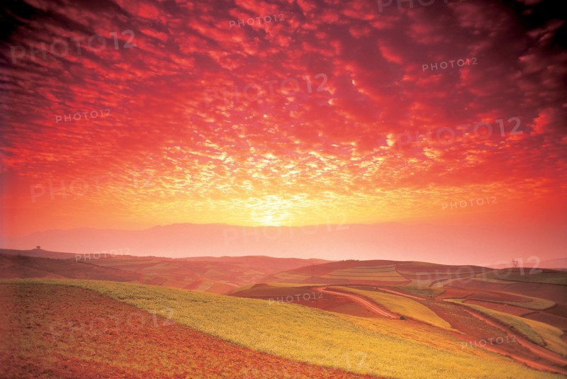 Dongchuan Red Soil, Yunnan Province, China