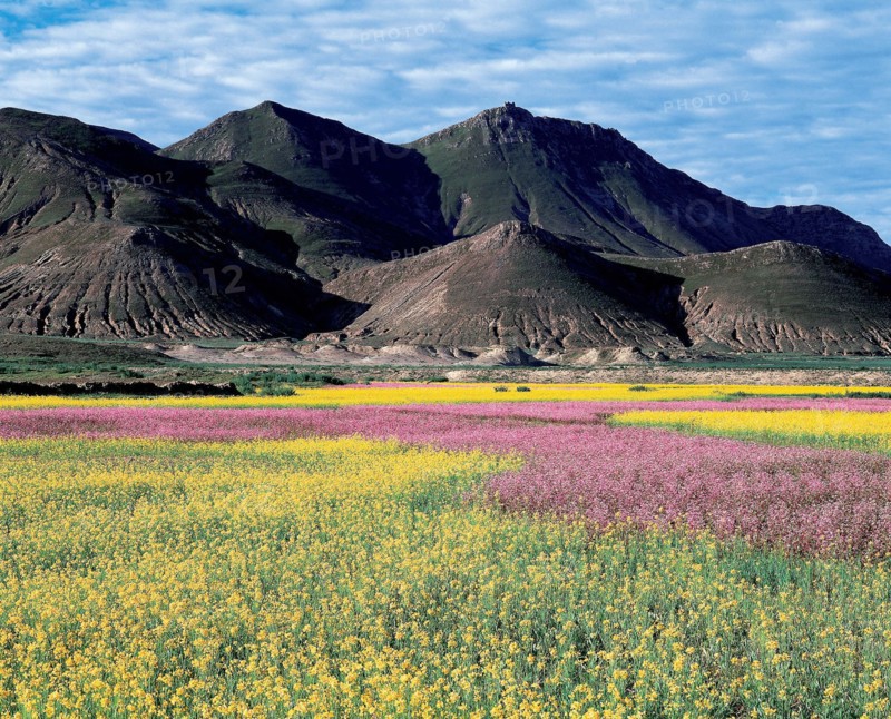 Xigaze, Tibet, China