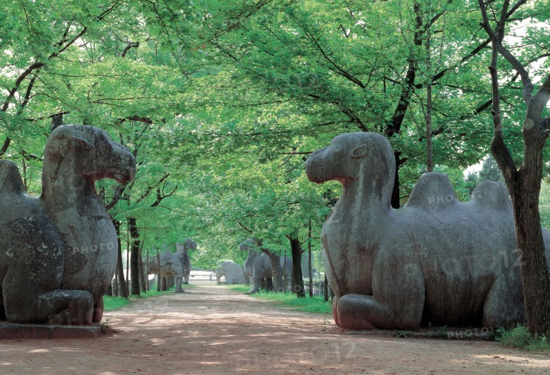 Nanjing, Tombe Ming, Chine