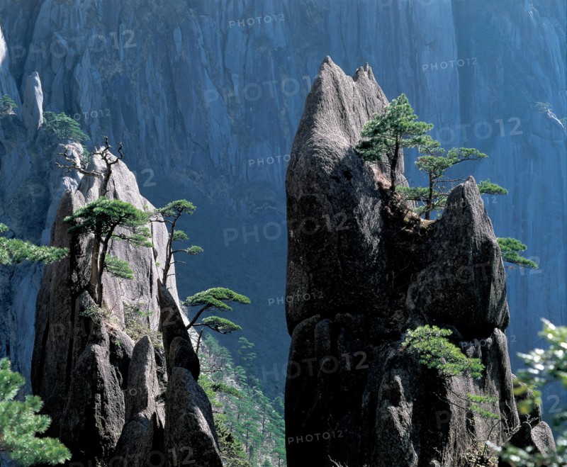 Huangshan Mount, China