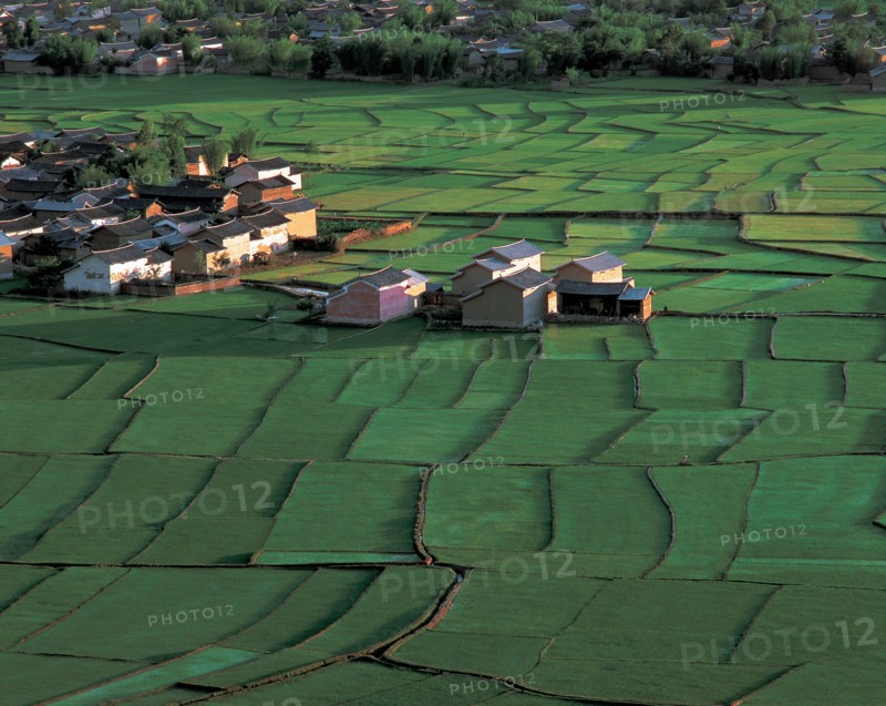 Ferme, Chine