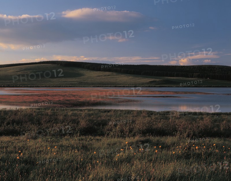 Paysage, Chine
