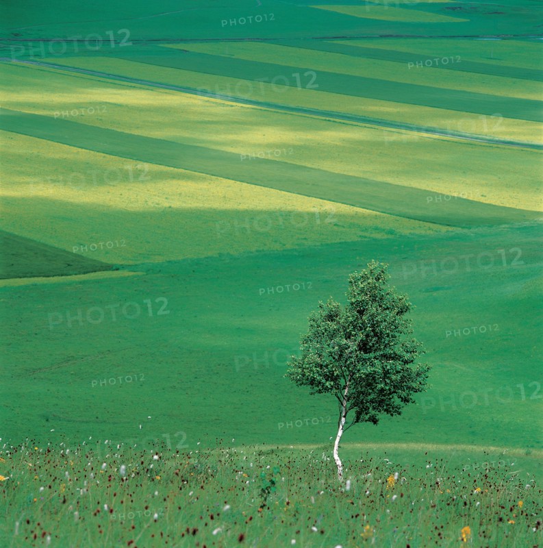 Paysage, Chine