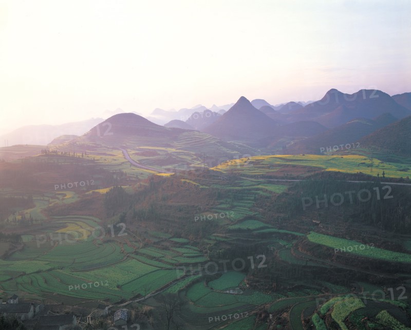 Luoping, plateau du Yunnan, Chine