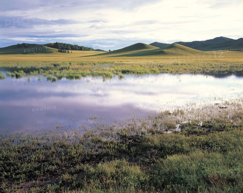 Swamp, China