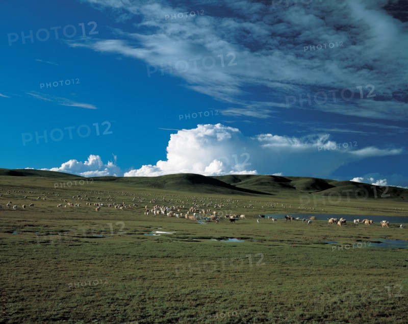 Plateau, Chine