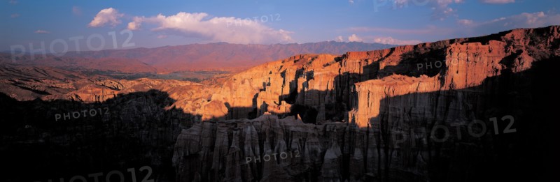 La forêt de Terre de Yuanmou, dans la province de Yunnan, Chine