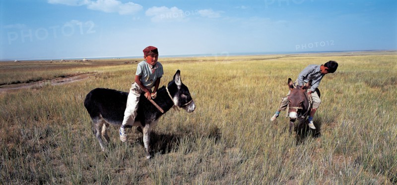Comté de Balikun du Sinkiang, au Kazakstan, Chine