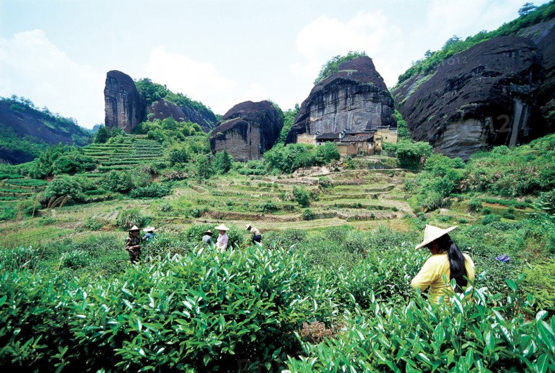 Wuyi Mountain, China
