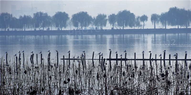 La digue Bai du Lac de l'Ouest, Chine