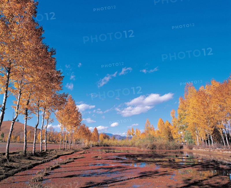 Paysage, Chine