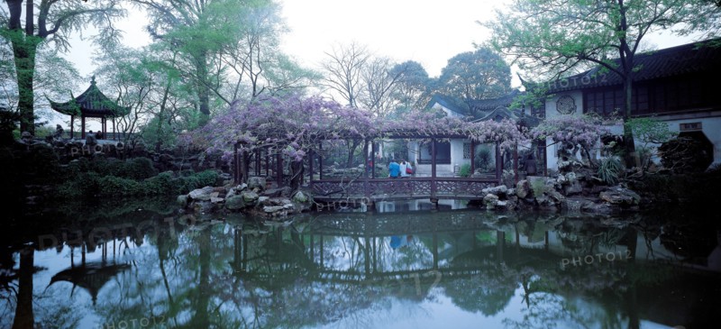 La Forêt du Lion, Chine