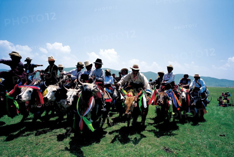 Yak Festival, China