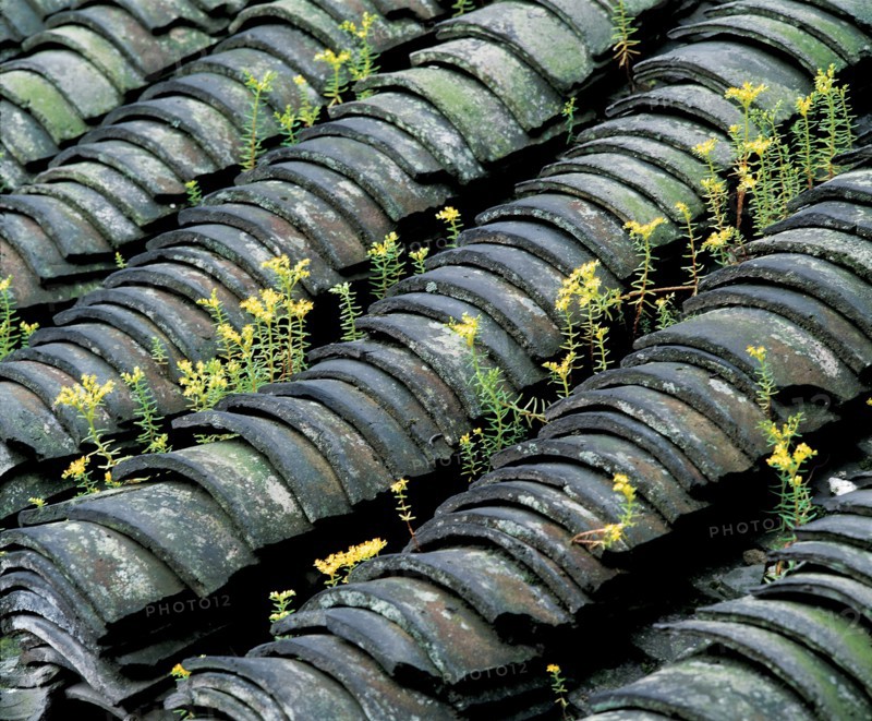 Tuiles, Chine
