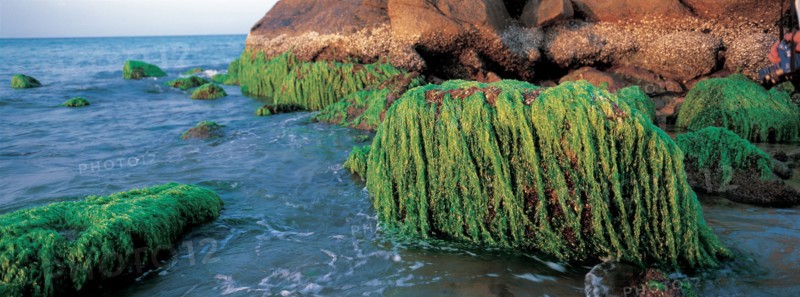 Océan, Chine