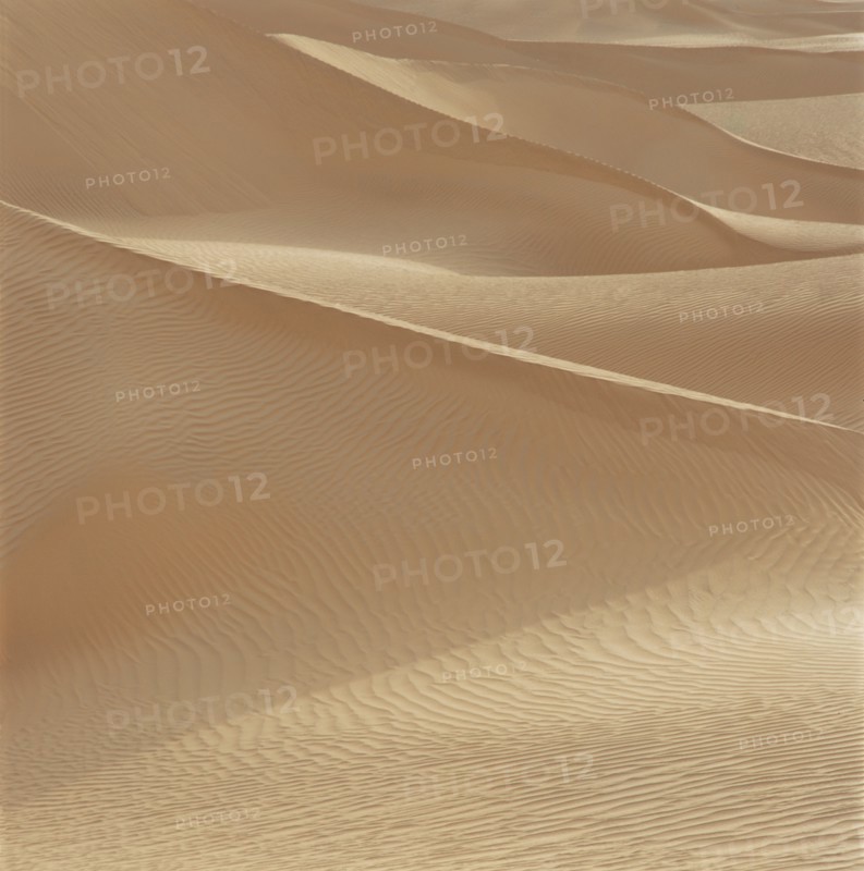 Takelamagan desert, XinJiang, China