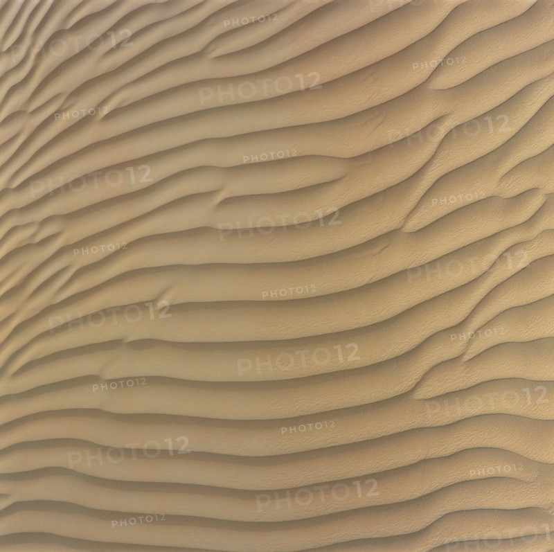 Takelamagan desert, XinJiang, China