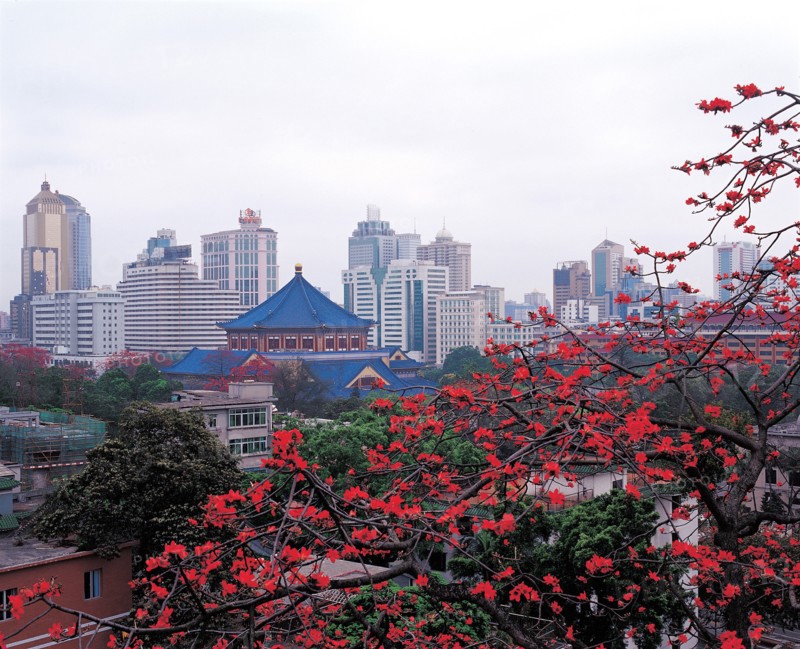 Arbre en fleurs, Chine