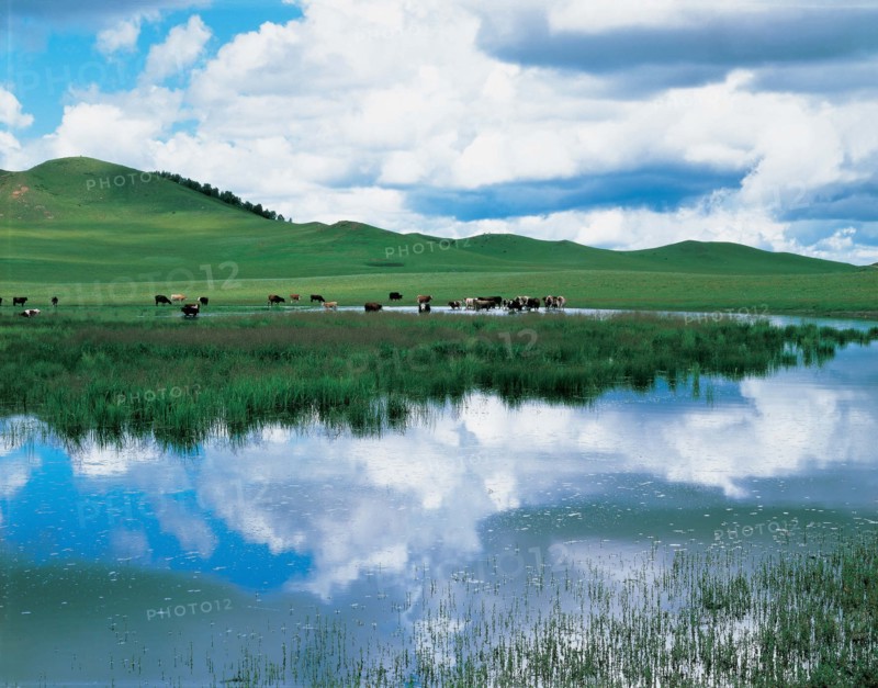 A scenery of the west of China