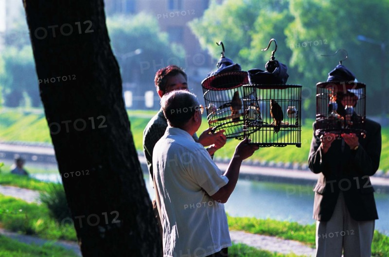 Old people walk birds in cages for fun by the river of Shenyang,Liaoning Province,China