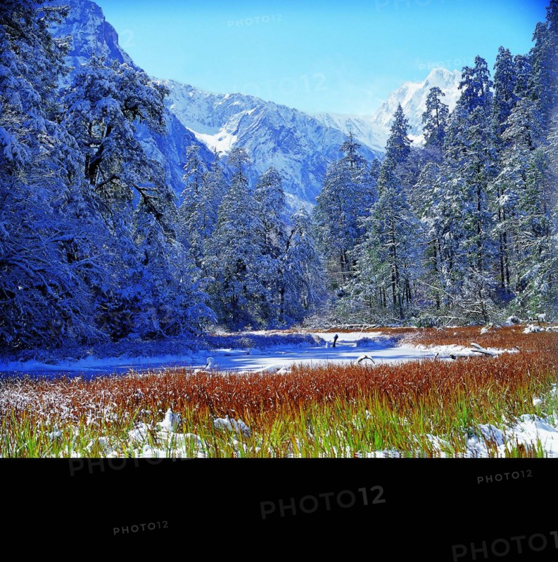 Hailuogou,Mt.Gongga,Sichuan Province,China