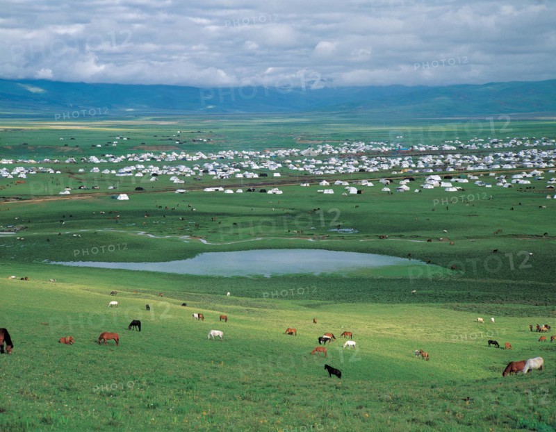 Horse race in Litang, Gyantse,Sichuan,China