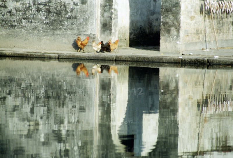 A pool of Xidi Village,Shexian County,Anhui Province,China