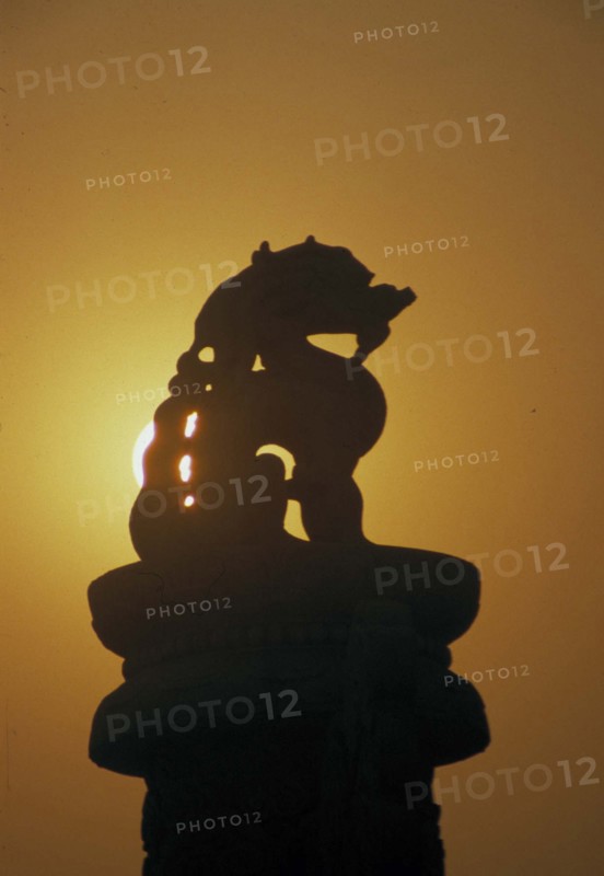 A lion statue of Forbidden City,Beijing,China