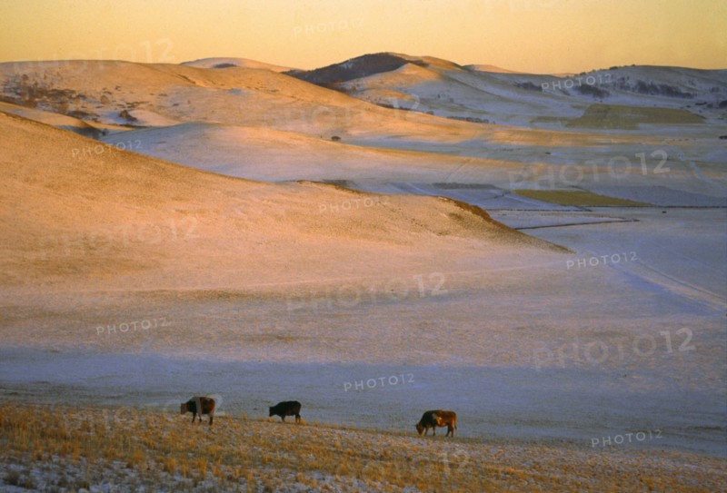 The landscape of Bashang,Hebei Province,China