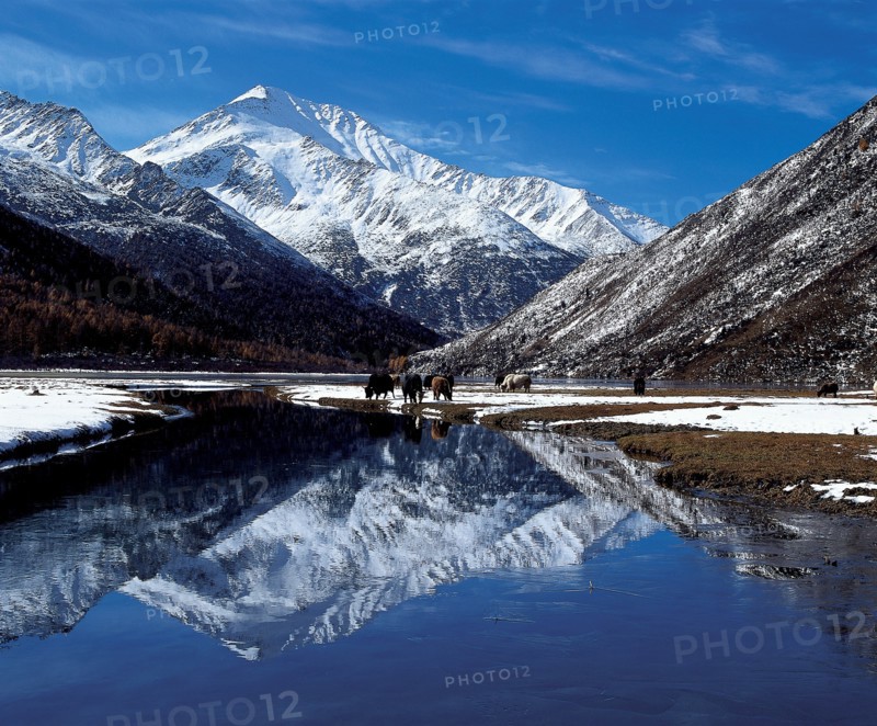 Hailuogou Glacier, China