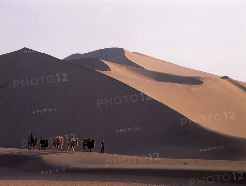 Caravan on Mingsha Hill,Gansu,China