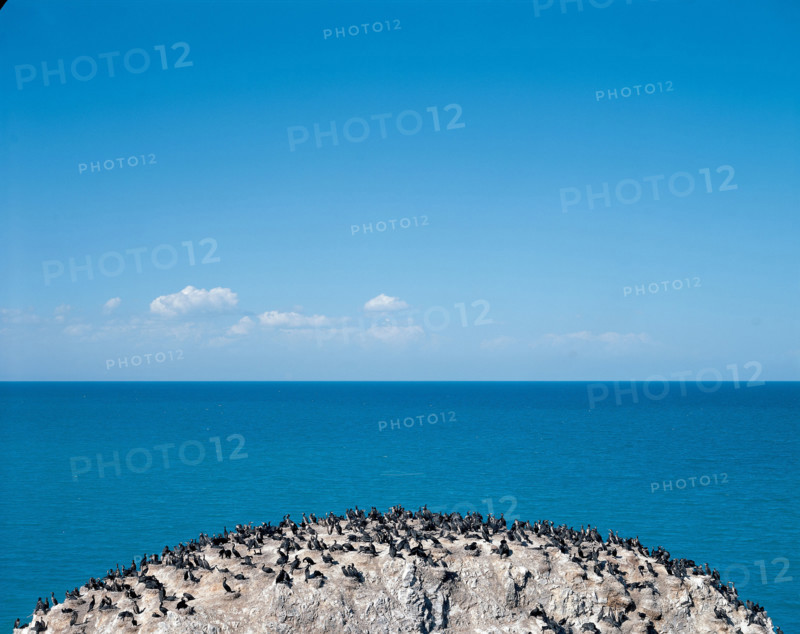 Birds Islet,Qinghai Lake,Qinghai,China