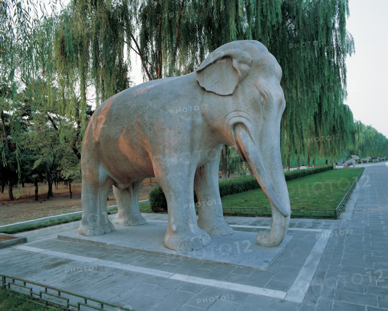A stone elephant standing along the Sacred Way of Ming Tombs,Beijing,China