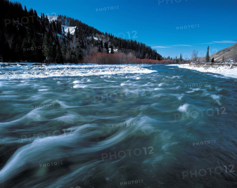 A stream on Nalati grassland of Xinjiang,China