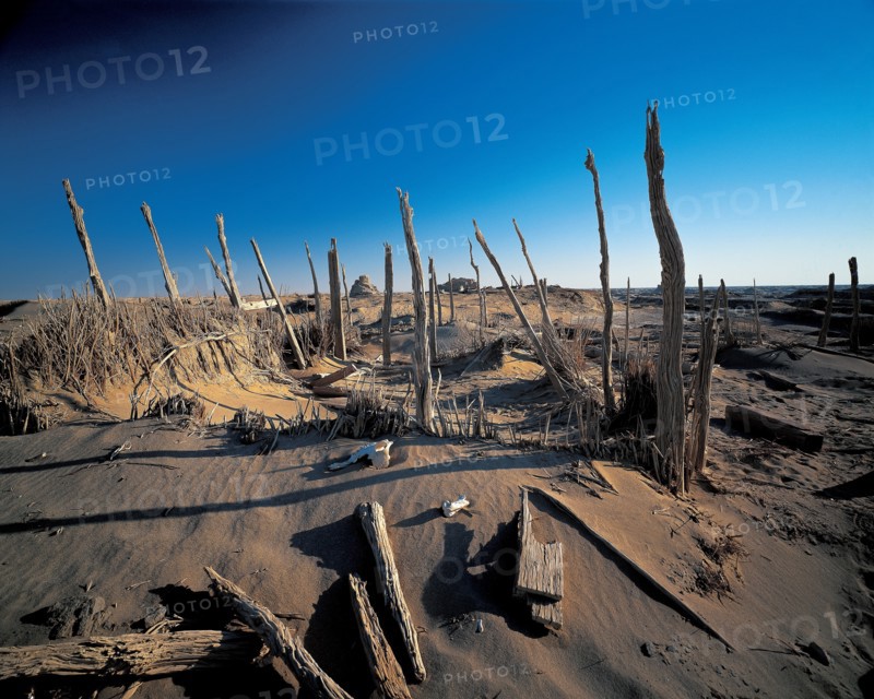 Ruins of Loulan in Lop Nur,Xinjiang,China