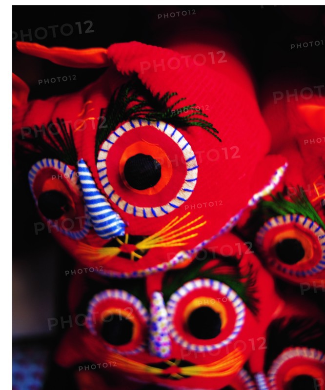 tiger-headed shoes in China