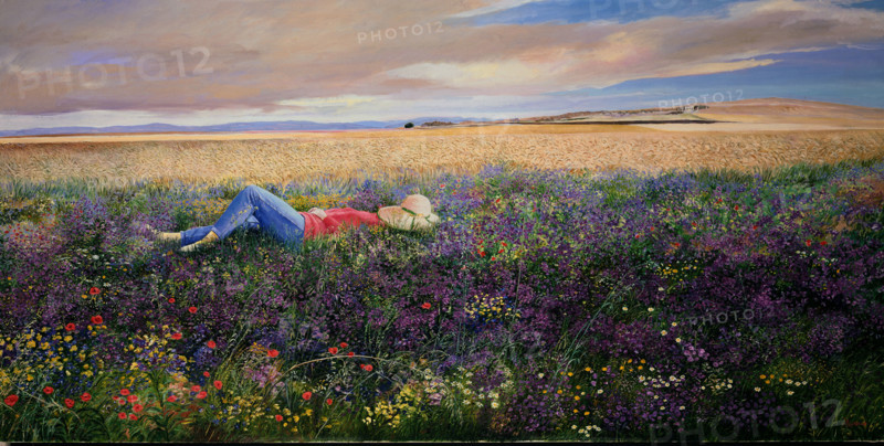 Navarro, Alice dans la prairie bleue