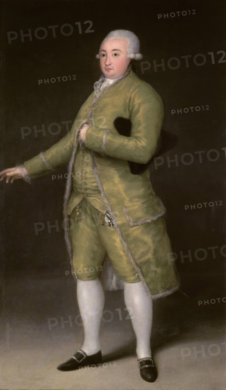 Goya, Portrait de Francisco de Cabarrus