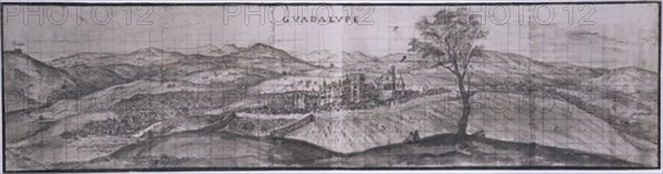 Van Den Wyngaerde, Guadeloupe