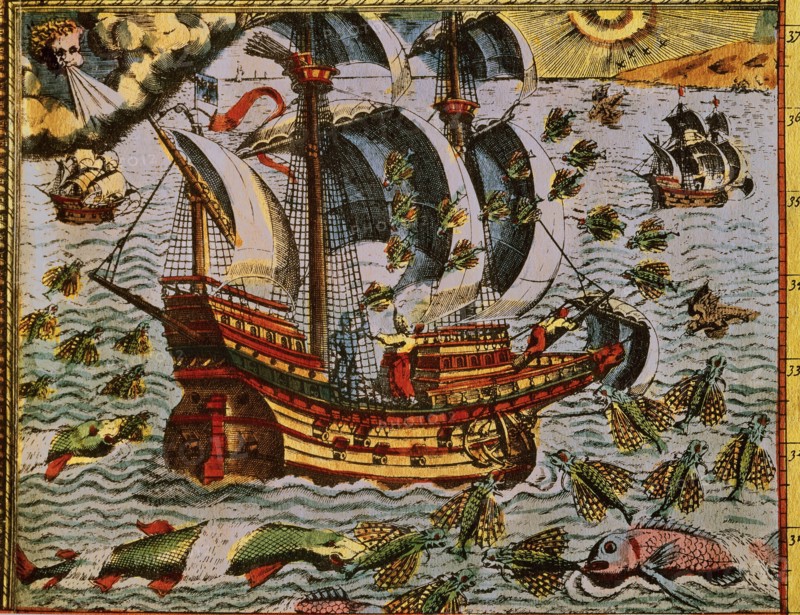 Flying fishes hitting Magellan's ship in the Pacific Ocean