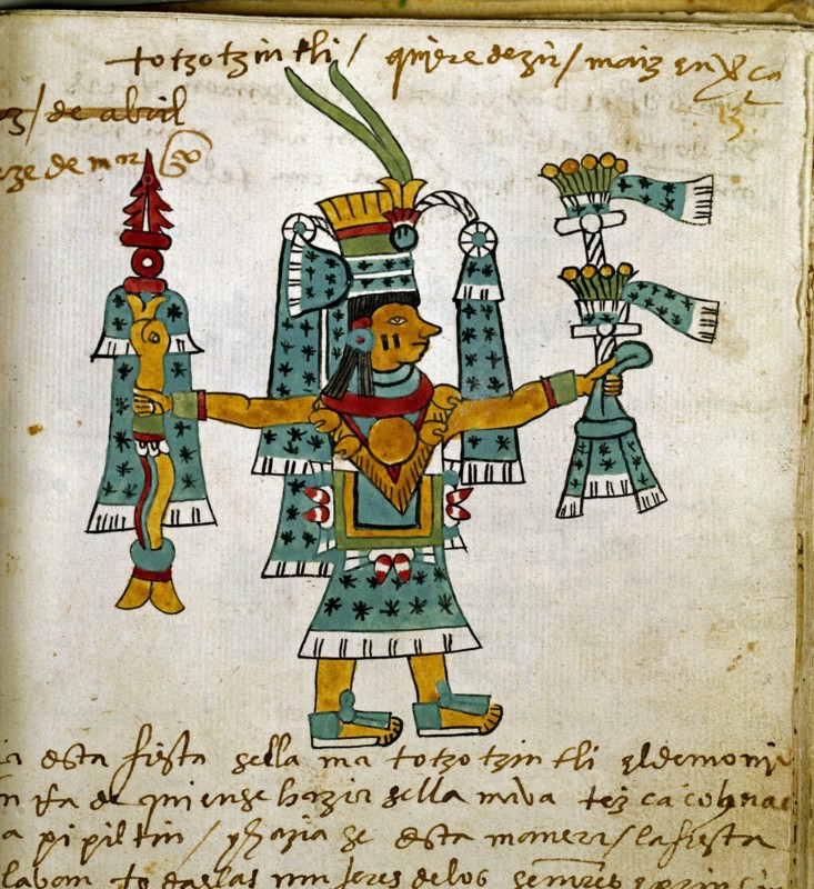 Detail of a page from the Tudela Codex