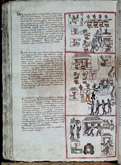 SAHAGUN BERNARDINO DE 1499-1590
HISTORIA DE LA NUEVA ESPANA F 254
MADRID, PALACIO REAL-BIBLIOTECA
MADRID