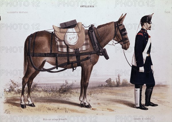 F.R.
CONDUCTOR DE ARTILLERTIA DE MARCHA
MADRID, ARCHIVO HISTORICO MILITAR
MADRID

This image is not downloadable. Contact us for the high res.