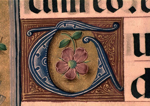 MISAL CAR CISNEROS LETRA G
MADRID, BIBLIOTECA NACIONAL
MADRID

This image is not downloadable. Contact us for the high res.